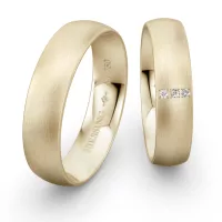 Sárga arany karikagyűrű NIESSING NAVETTE