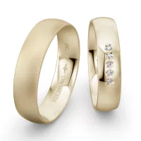 Sárga arany karikagyűrű NIESSING NAVETTE