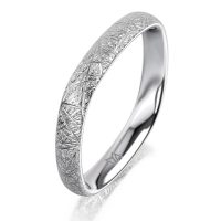 Platina férfi karikagyűrű MEISTER