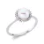Whitegold Diamond Ring