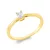 Yellowgold Diamond Ring
