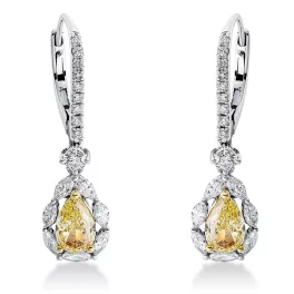 Whitegold / Yellowgold Diamond Earrings