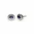 White Gold  Sapphire Earrings